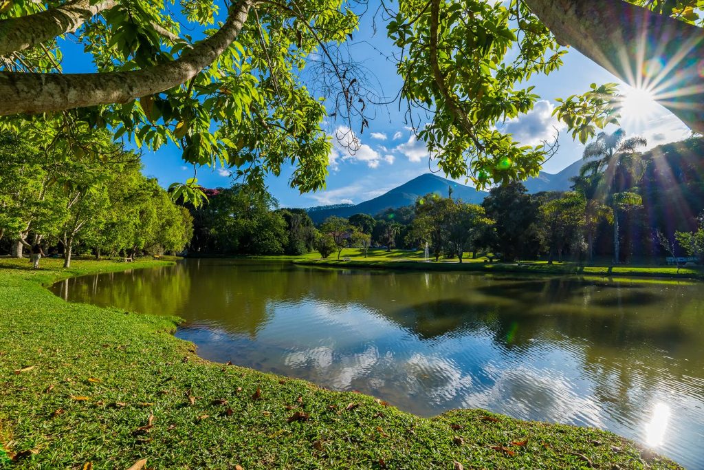 Catálogo Cachaças Especiais do Rio de Janeiro — registro